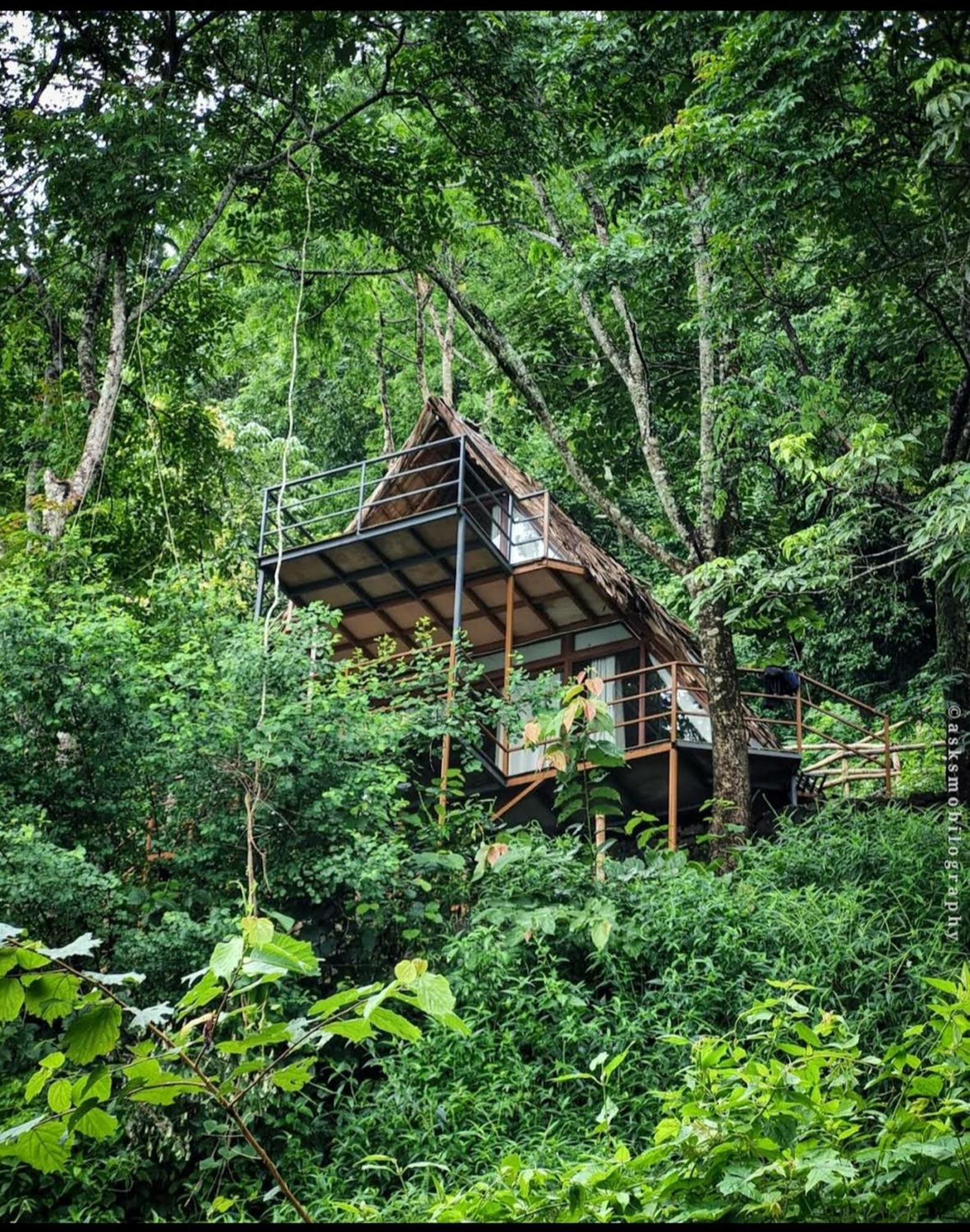 Sunset Valley Kerala Pool Resort - Serene Natural Forest Cottage Stay In Idukki With Sunrise & Sunset Panoramas, Natural Streams & Tranquil Summer Evenings Pīrmed Exterior foto