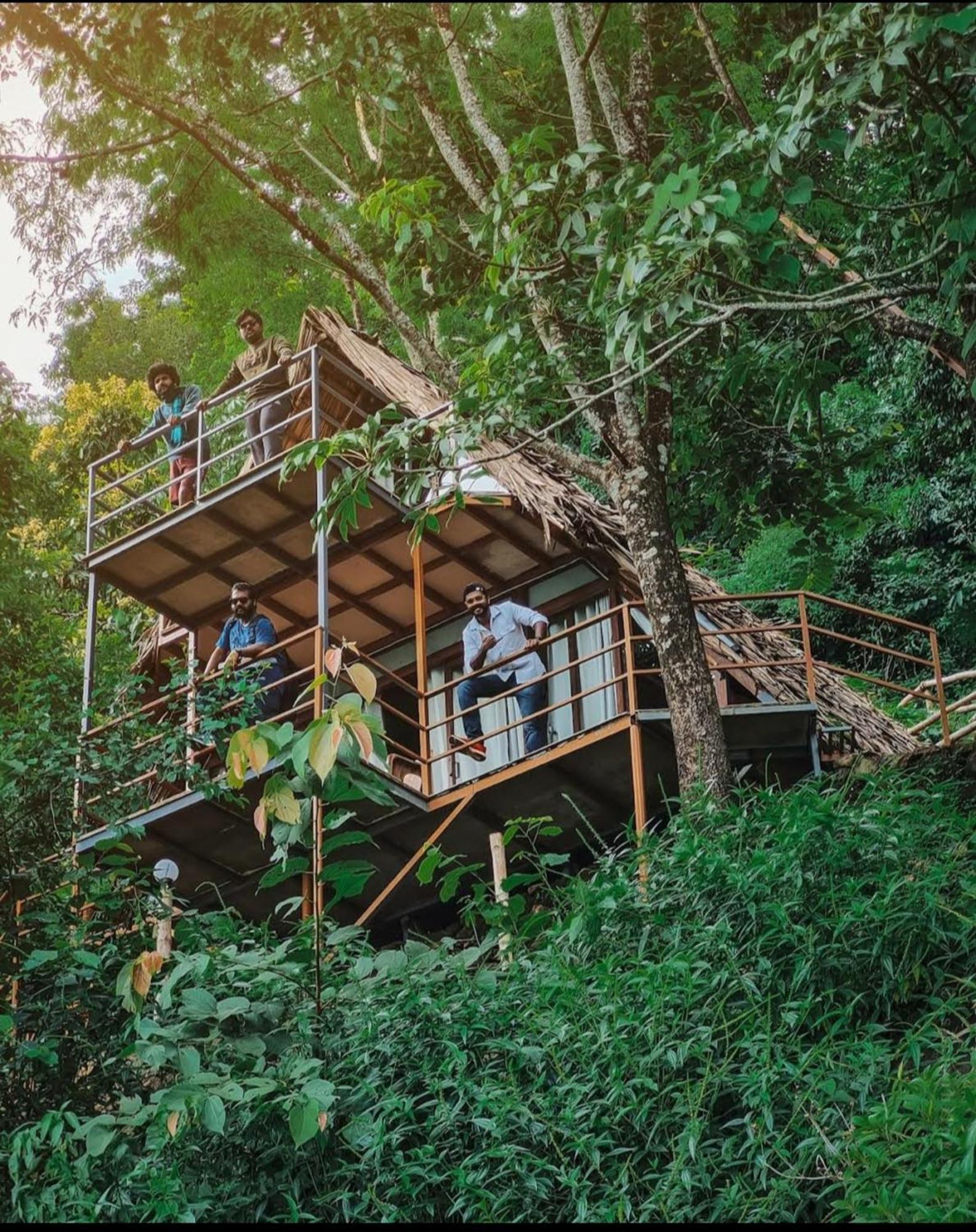 Sunset Valley Kerala Pool Resort - Serene Natural Forest Cottage Stay In Idukki With Sunrise & Sunset Panoramas, Natural Streams & Tranquil Summer Evenings Pīrmed Exterior foto